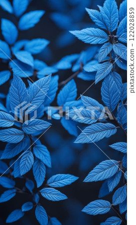 Blue leaves with detailed texture on blur background. Botanical nature scene with vibrant foliage. Close-up macro shot 122028859