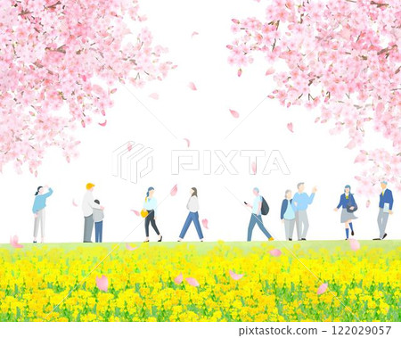 各種人沿著銀行散步，櫻花樹和油菜花-全身-春天-人向量圖白色背景背景資料 122029057