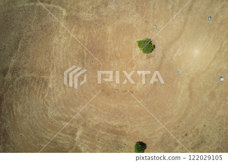 Clean agriculture plowed field 122029105