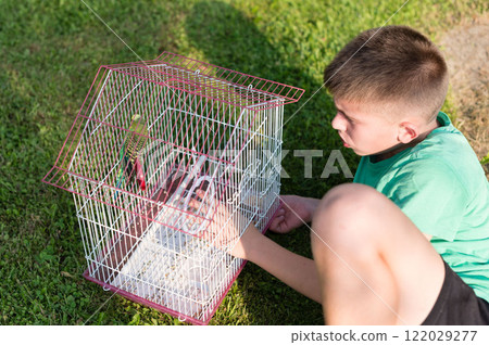 Boy tending to his pet bird in a cage outdoors. Boy tending to his pet bird in a cage outdoors. 122029277