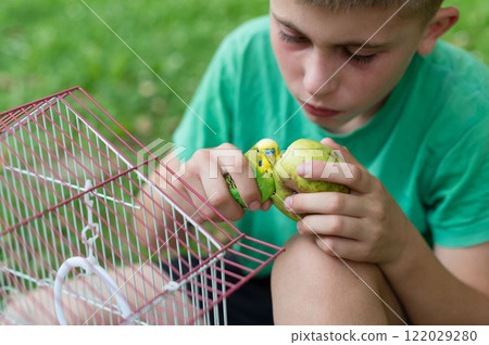 Boy feeding parakeets a pear outdoors near their cage. 122029280