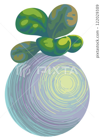 indoor miniature plant baby rubber plant or peperomia 122029389