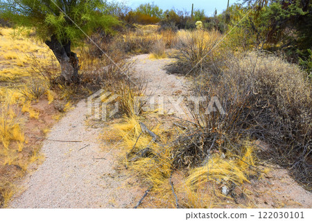 Arizona Desert Arroyo Arizona Desert Arroyo 122030101