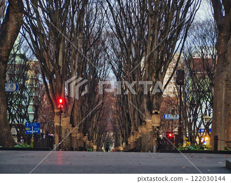 Miyagi Prefecture, Jozenji Street in winter 122030144