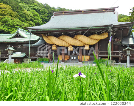 宮地岳神社是福岡縣福津市的熱門景點,這裡有大型注連繩神社,鳶尾花盛開。 宮地岳神社是福岡縣福津市的熱門景點,這裡有大型注連繩神社,鳶尾花盛開。 122030244