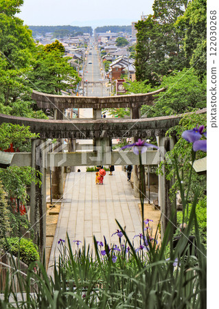 福岡縣福津市鳶尾花盛開的宮地岳神社的參道，形成了一條光之道。 122030268