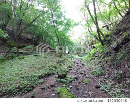 綠色夏季山路 122030648