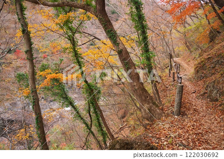 被紅葉包圍的日光市龍王町 清流峽落葉健行路線 被紅葉包圍的日光市龍王町 清流峽落葉健行路線 122030692