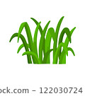 grass 122030724