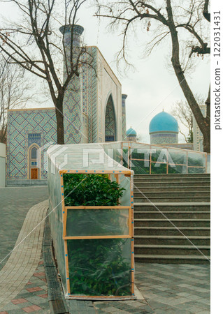 greenhouses to protect seedlings from frost. emergency protection of bushes in Tashkent from frost greenhouses to protect seedlings from frost. emergency protection of bushes in Tashkent from frost 122031431