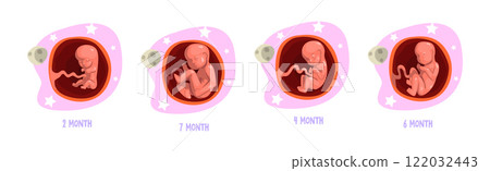 Human Embryo Month Development Stages Medical Infographic Element Vector Set 122032443