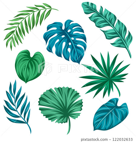 Set of stylized palm leaves. Decorative image of tropical foliage and plants. Set of stylized palm leaves. Decorative image of tropical foliage and plants. 122032633
