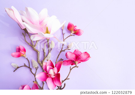 Blossoming pink magnolia tree Flowers Blossoming pink magnolia tree Flowers 122032879