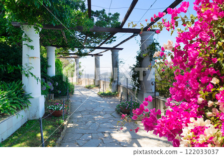 Capri island, Italy 122033037