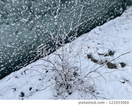 Snow-covered trees and plants in a frosty winter scene 122033068