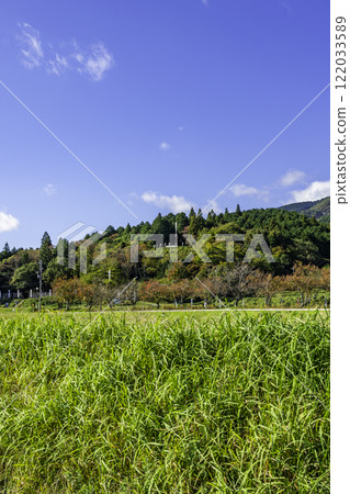 Sekigahara: View of Mitsunari Ishida's camp from the decisive battlefield, Sekigahara Town, Gifu Prefecture 122033589