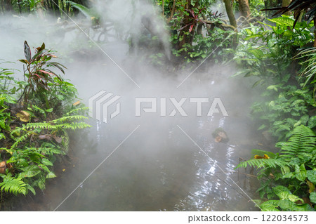A Misty Tropical Rainforest with a Beautiful, Glistening Stream Meandering Through It A Misty Tropical Rainforest with a Beautiful, Glistening Stream Meandering Through It 122034573