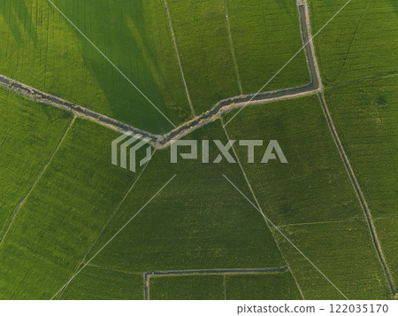 Green rice Fileds aerial view Thailand countryside 122035170