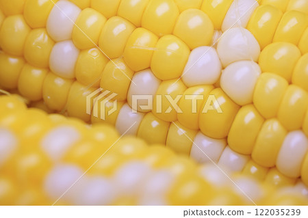 Sweet boiled corn, macro shot. Sweet boiled corn, macro shot. 122035239