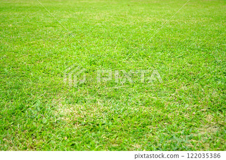 Green grass field with a lot of grass Green grass field with a lot of grass 122035386