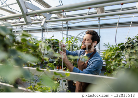 Young bearded man working with plants in a greenhouse Young bearded man working with plants in a greenhouse 122035518