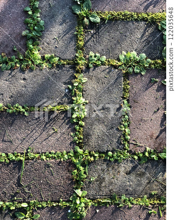 Path paved with paving stones overgrown with green grass Path paved with paving stones overgrown with green grass 122035648
