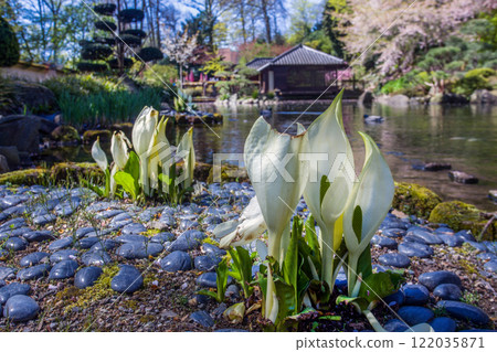 Amazing view on Japanese garden in Kaiserslautern 122035871