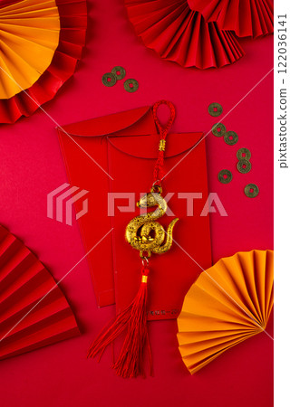 Chinese new year concept. Lunar year of snake 122036141