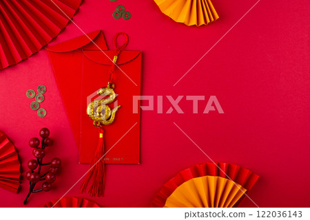 Chinese new year concept. Lunar year of snake 122036143
