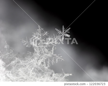 snapshot of a small snowflake taken during a snowfall 122036723
