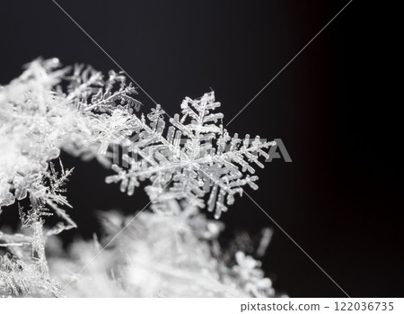 snapshot of a small snowflake taken during a snowfall 122036735