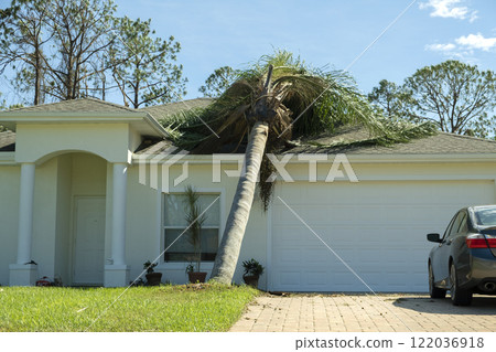 Fallen down big tree on a house roof after hurricane in Florida. Consequences of natural disaster 122036918