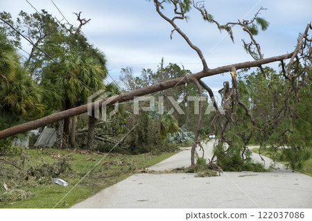 Electricity outage as consequences of natural disaster. Damaged power lines after hurricane wind broke tree limbs in Florida suburban area 122037086