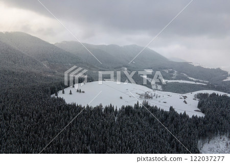 Aerial winter landscape with small rural houses between snow covered forest in cold mountains. 122037277