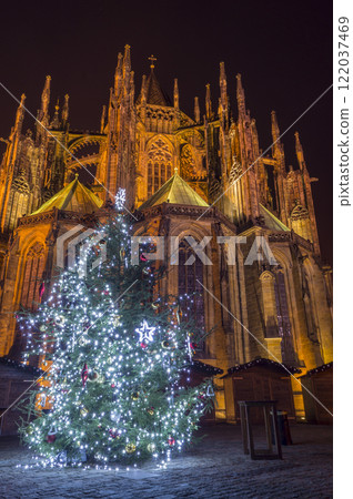 Christmas Tree at Prague Castle Christmas Tree at Prague Castle 122037469