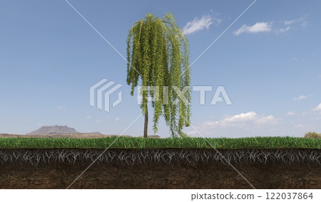 tree on the grass and a slice of soil under it, 3d render tree on the grass and a slice of soil under it, 3d render 122037864