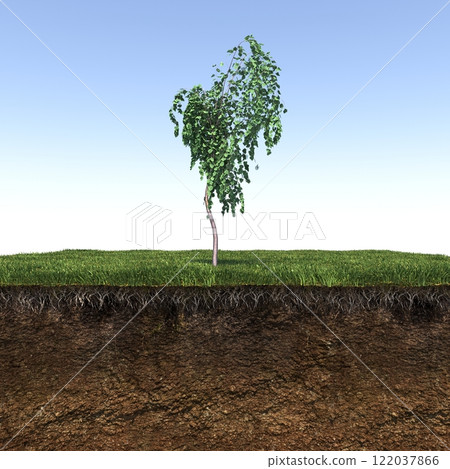 tree on the grass and a slice of soil under it, 3d render tree on the grass and a slice of soil under it, 3d render 122037866