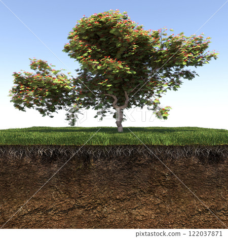 tree on the grass and a slice of soil under it, 3d render 122037871