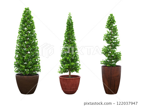 decorative flower in a pot isolated on white background, 3D illustration, cg render decorative flower in a pot isolated on white background, 3D illustration, cg render 122037947