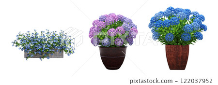 decorative flower in a pot isolated on white background, 3D illustration, cg render 122037952