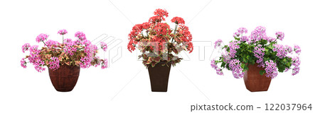 decorative flower in a pot isolated on white background, 3D illustration, cg render 122037964