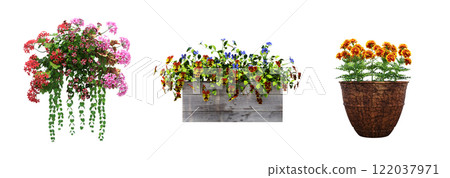 decorative flower in a pot isolated on white background, 3D illustration, cg render 122037971