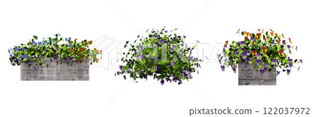 decorative flower in a pot isolated on white background, 3D illustration, cg render decorative flower in a pot isolated on white background, 3D illustration, cg render 122037972