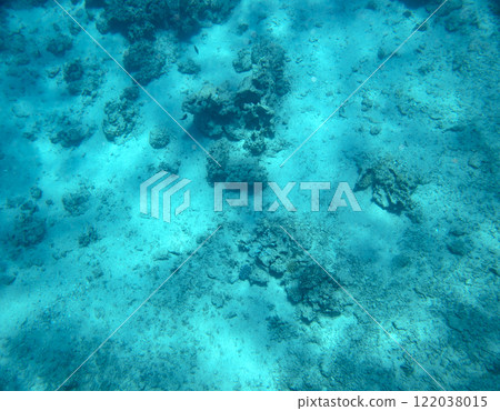 sea fish, coral reef, underwater sea fish, coral reef, underwater 122038015