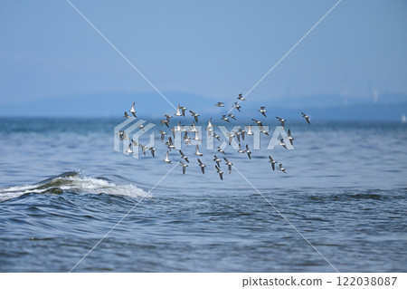 本年 本年 122038087