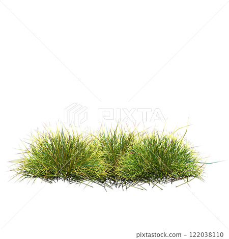 wild field grass, isolated on a transparent background, 3D illustration, cg render wild field grass, isolated on a transparent background, 3D illustration, cg render 122038110
