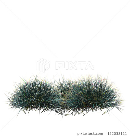 wild field grass, isolated on a transparent background, 3D illustration, cg render wild field grass, isolated on a transparent background, 3D illustration, cg render 122038111