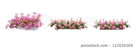decorative flower in a pot isolate on a transparent background, 3D illustration, cg render 122038169