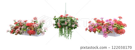 decorative flower in a pot isolate on a transparent background, 3D illustration, cg render 122038170