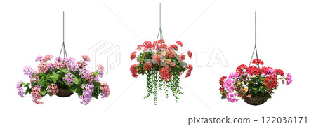 decorative flower in a pot isolate on a transparent background, 3D illustration, cg render 122038171